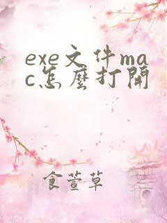 exe文件mac怎么打开