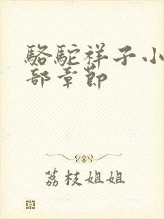 骆驼祥子小说全部章节