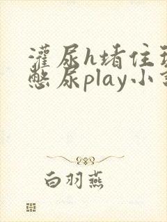 灌尿h堵住玩弄憋尿play小说