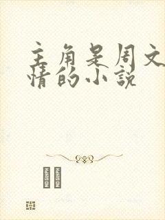 主角是周文的言情的小说