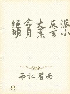 绝命大反派澹台明月叶玄小说