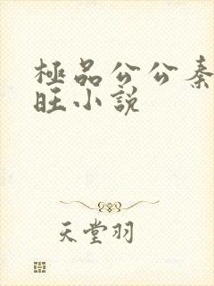 极品公公秦雨老旺小说