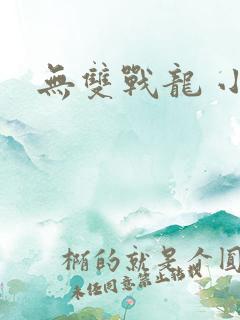 无双战龙 小说