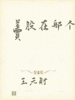 美股在哪个软件买