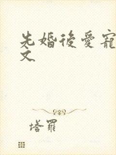 先婚后爱宠文甜文