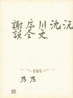 谢序川沈沅珠小说全文