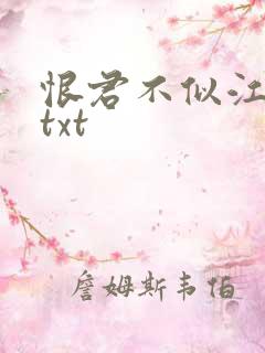 恨君不似江楼月txt