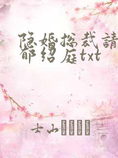 隐婚总裁请签字郁绍庭txt
