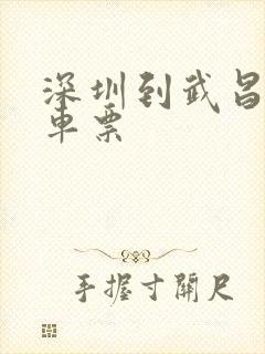 深圳到武昌的火车票