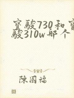 宝骏730和宝骏310w哪个更好