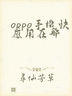 oppo手机快应用在哪