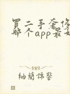 买二手奢侈品在哪个app最好