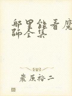 哪里能看魔道祖师全集