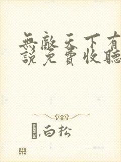 无敌天下有声小说免费收听