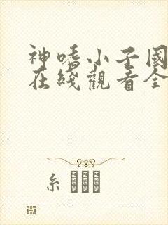 神嗜小子国语版在线观看全集
