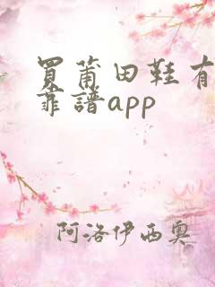 买莆田鞋有没有靠谱app