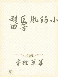 赵匡胤的小说单田芳