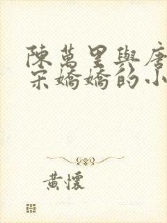 陈万里与唐嫣然宋娇娇的小说叫什么