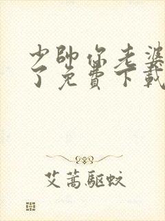 少帅你老婆又跑了免费下载全本