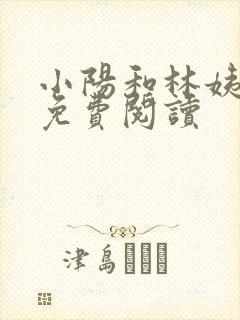 小阳和林姨小说免费阅读