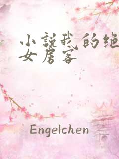 小说我的绝色美女房客