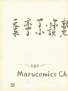 天亮了,你就回来了小说免费