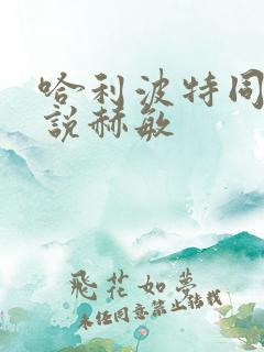 哈利波特同人小说赫敏