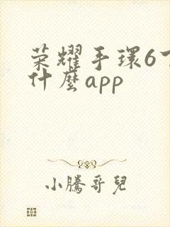 荣耀手环6下载什么app