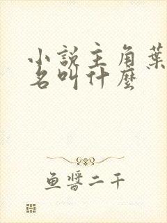 小说主角叶凡书名叫什么