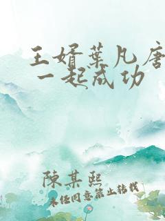 王婿叶凡唐若雪 一起成功