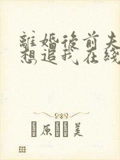 离婚后前夫总是想追我在线看小说