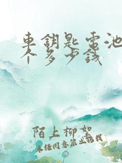 车钥匙电池换一个多少钱