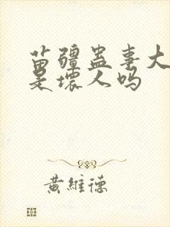苗疆蛊事大师兄是坏人吗