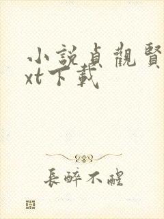 小说贞观贤王txt下载