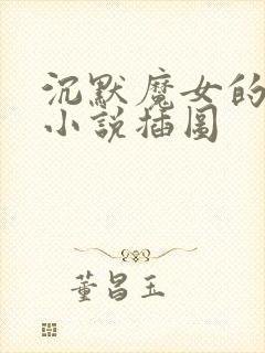 沉默魔女的秘密小说插图