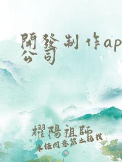 开发制作app公司