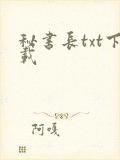秘书长txt下载
