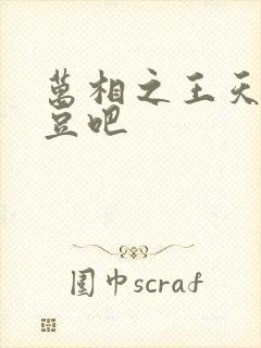 万相之王天蚕土豆吧