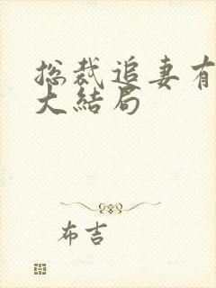 总裁追妻有点甜大结局