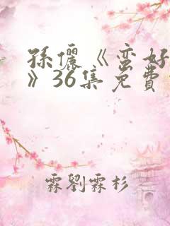 孙俪《蛮好人生》36集免费观看