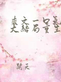 爽文一口气看到大结局重生