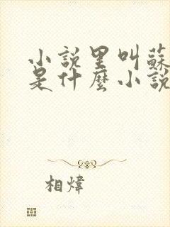 小说里叫苏言的是什么小说