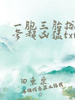 一胞三胎总裁爹爹超凶猛txt下载全本