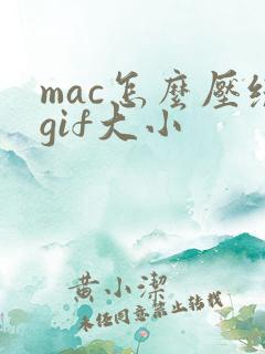 mac怎么压缩gif大小