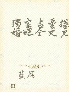 独家占爱总裁结婚吧全文免费阅读