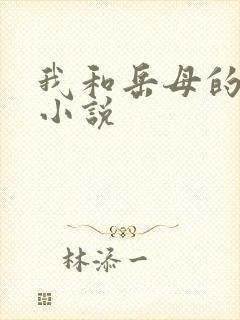 我和岳母的秘密小说