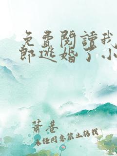 免费阅读我的新郎逃婚了小说