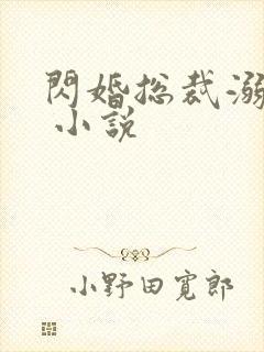 闪婚总裁溺宠妻 小说