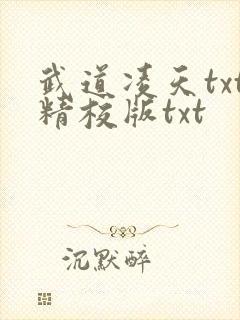 武道凌天txt精校版txt