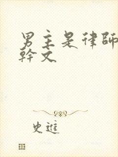 男主是律师的高干文